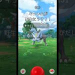 【ポケモンGO】キュレムが野生に？？！！！#ポケモンgo #ポケモン #キュレム