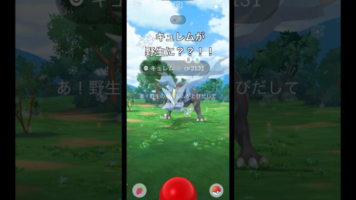 【ポケモンGO】キュレムが野生に？？！！！#ポケモンgo #ポケモン #キュレム