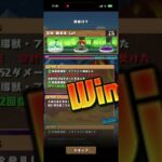 ワンタッチダンジョン　森林Lv5#パズドラ　#パズル　#ワンタッチ　#ダンジョン　#放置