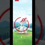 ポケモンGO捕まえた色違いレシラムの個体値が、、、、うわわわわわわ #ポケモンgo #ポケモン #ポケgo #ゲーム