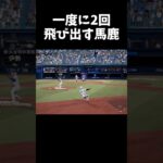 一度に２回飛び出す馬鹿