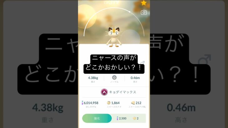 【ポケモンGO】ニャースの声がどこかおかしい？！ #ポケモン #ポケモンgo #ニャース #ネタ #アフレコ