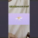 【ポケモンGO】伝説レイドがカミツルギに変わったぞ！！ #ポケモンgo #色違い #ウルトラビースト #激アツ #イベント
