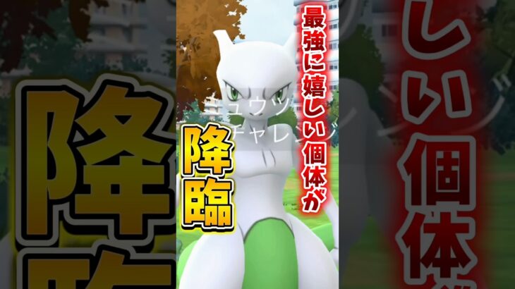 【悲報】GOFest2026のミュウツーレイドで壮大にやらかす…【ポケモンGO】#ポケモンGO #島名なまし　#GOFest2026