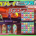 【パズドラ】人生初プレイとニワカで遊んだらカオス【後編】