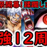 [トレクル]海賊祭開幕! 12周年最強! もはや適当に敵を蹂躙する頭のおかしさ!! [OPTC][sugo fest]