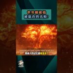 世界樹被燒，被竄改的真相 ? #原神 #須彌 #世界樹 #草神 #納西妲 #整活