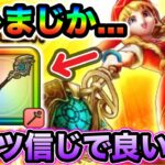 【ドラクエウォーク】耐性無視でぶっ放すメラガイアー搭載とこしえの杖を引かせてくださいお願いしますなんでもしますからガチャ！