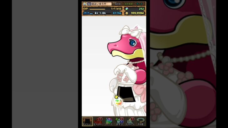 【魔法石5個ガチャ】 #ブライダルガチャ #パズドラ #クエスト #魔法石5個ガチャ