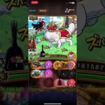 [トレクル]  亂入戰  安定  無特攻   #optc   #トレクル