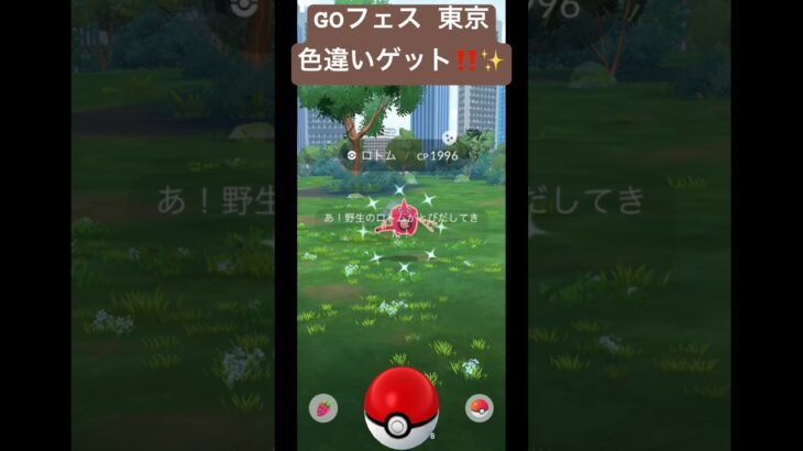 ロトム色違いゲット‼️✨️ #ポケモンgo #pokemon #shorts #shortvideo #ytshorts #reels #viral #viralshorts