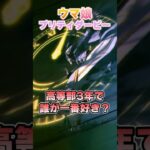 【ウマ娘】みんながトレセン学園高等部3年生の中で一番好きな人は誰？【ウマ娘プリティーダービー】
