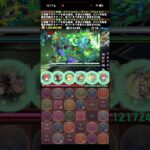 新種のラインハルト潰し【パズドラ】