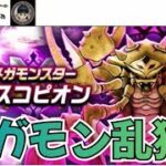【ドラクエウォーク】メガモン乱獲 外ライブ