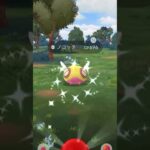 【ポケモンGO】すごく隠れづらほうな子が来た！　#ポケモン #ポケモンgo #色違い #shorts