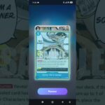 one piece OPTCG rush