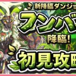 【パズドラ】7月の新降臨「フンババ降臨」を初見攻略！【雑談】