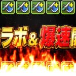 【環境確定】突然の神コラボ＆爆速開催決定がヤバすぎる【パズドラ】