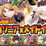 【＃パズドラ】パズドラクロス10周年！！強化された白ソニアで復帰力が高すぎるパーティができた！