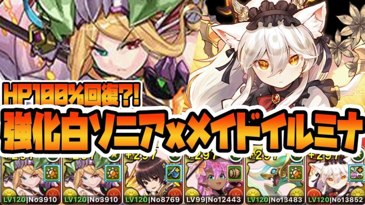 【＃パズドラ】パズドラクロス10周年！！強化された白ソニアで復帰力が高すぎるパーティができた！