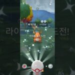메가라이츄 X Y  #포켓몬고 #pokémongo  #포켓몬 #ポケモンgo#포켓몬go
