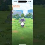 【難易度低】イエッサン(メス)極小サークルクリティカルゲット【ポケモンGO】