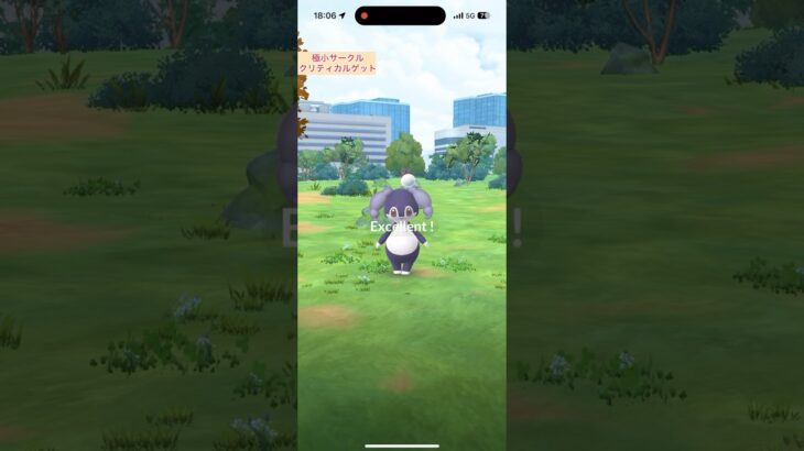 【難易度低】イエッサン(メス)極小サークルクリティカルゲット【ポケモンGO】