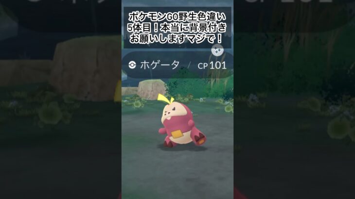 ポケモンGO野生色違い5体目！本当に背景付き色違いお願いします！ #gameplay #gaming #ポケモンgo色違い #ポケモンgo好きと繋がりたい #ポケモンgo