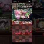 マルチタスク苦手男【パズドラ】