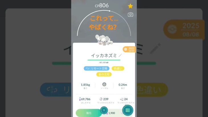 運が良き #ポケモンgo #ポケモン#色違い#3匹