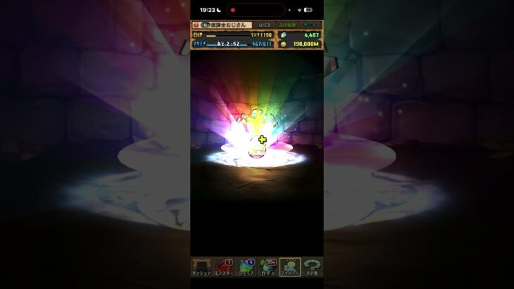 #パズドラ