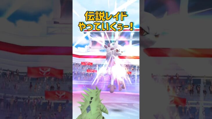 【GOフェス！】みんな結果どうだった？ #ポケモンgo #pokemongo #pokemongoshorts #shorts #short