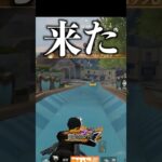 ウォータースライダー検問から絶対に逃げられない　#荒野行動