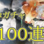 【メメントモリ】【実況】シロガチャ　１００連【ウル】