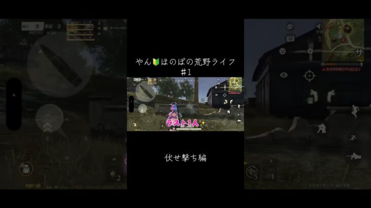#荒野行動 #荒野女子 #えんじょい勢 #キルクリップ  #キル集 #knivesout#こうやこうど #うまくなりたい #わーるどゲーム配信
