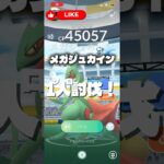 メガジュカインソロ討伐！！ # #ポケモン #おれポケ #pokemongo #ポケモンgo #pokemon #メガ進化 #メガジュカイン #メガレイド #ソロ討伐