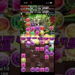 編成考えるのが面倒なので1コンクリア😅　フンババ降臨! 森の守護者 ∞級 【アシスト無効】#パズドラ　#パズル　#フンババ　#降臨　#イベント