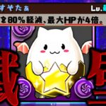 【閲覧注意】HP20倍ループ。これが常闇がずっと隠していた戦術。【パズドラX】