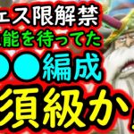 [トレクル]最新情報解禁! まさかの新フェス限ヤルル様!? 性能的に「待望のアレ」か!? [OPTC][sugo fest]