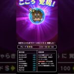 【ドラクエウォーク】もじゃらきラクーンのこころ覚醒!!!　 #ドラクエウォーク