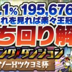 【パズドラ】これ見れば王冠余裕です！タマゾーXツクヨミ杯0.1%195,676点！王冠立ち回り解説！【ランダン】