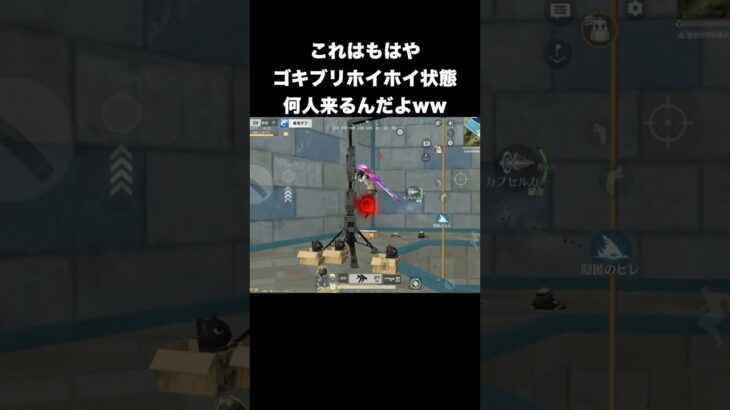 どんどん来るwwゴキブリホイホイ状態wwww　#荒野行動