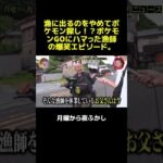 漁に出るのをやめてポケモン探し！？ポケモンGOにハマった漁師の爆笑エピソード。 #マツコ  #月曜から夜ふかし