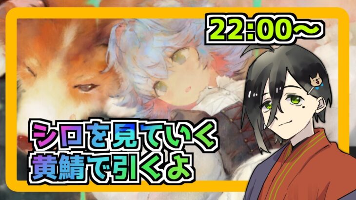 【メメントモリ】シロを見ていく。少しだけ黄鯖で引く