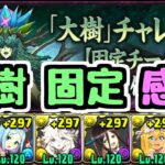 【感想】大樹チャレンジ固定チームを終えて思うこと【パズドラ】