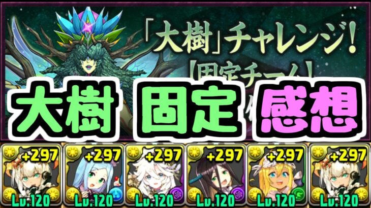 【感想】大樹チャレンジ固定チームを終えて思うこと【パズドラ】