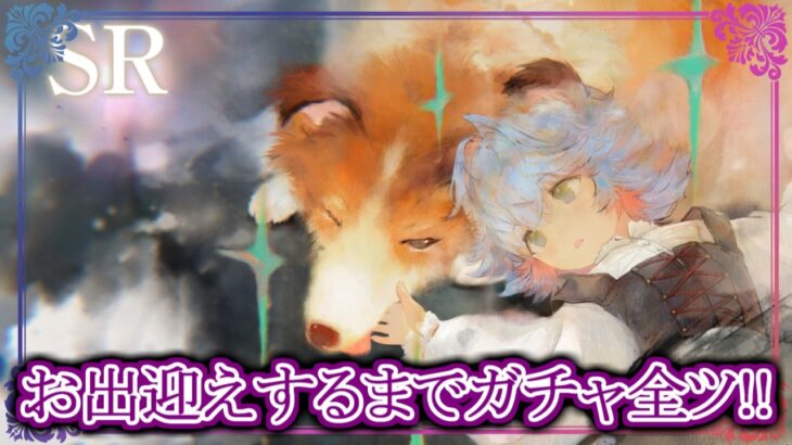 【メメントモリ】シロお出迎えするまでガチャ全ツッパ！【メメモリ】