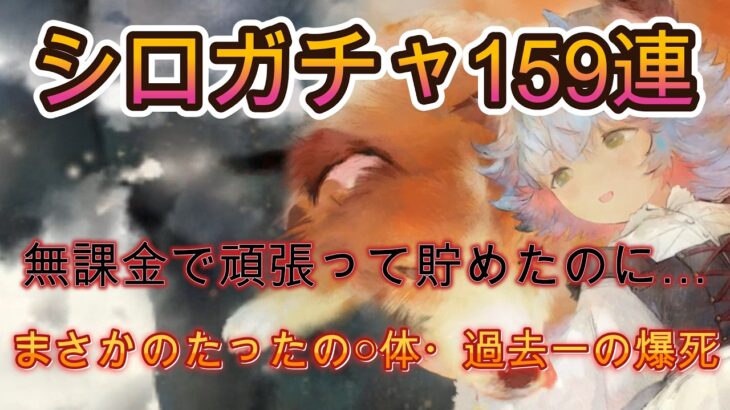 【無課金ガチャ】159連でシロを狙った結果…過去一悲惨な結果でした【メメモリ】