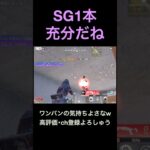 SG、1本。【荒野行動】#荒野行動 #クリップ #キル集