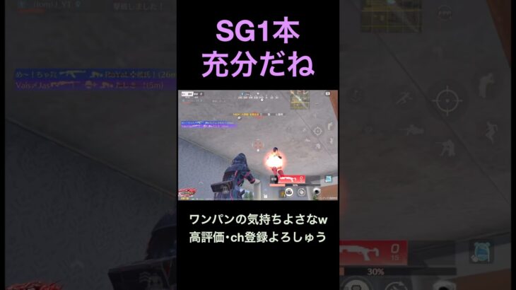 SG、1本。【荒野行動】#荒野行動 #クリップ #キル集